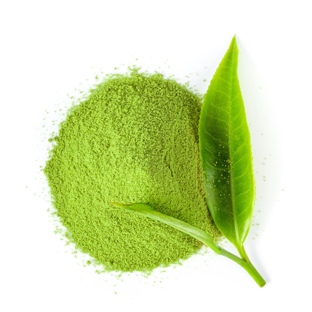 Green Tea Extract Gelatide